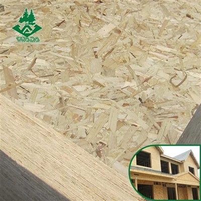Scheda OSB da 22 mm